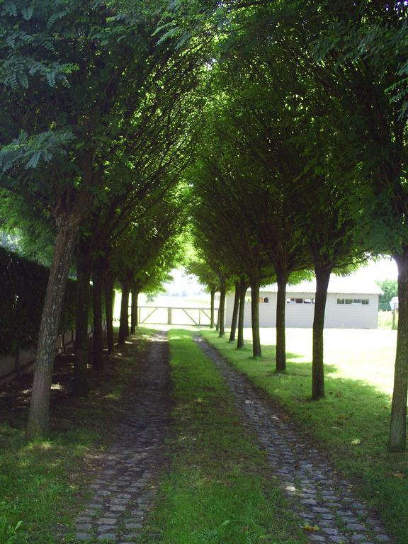 Apartment Capitalcondos Ninove Rum bild